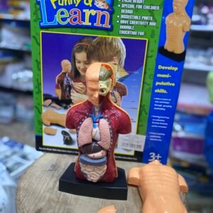 جسم الانسان قابل للتفكيك